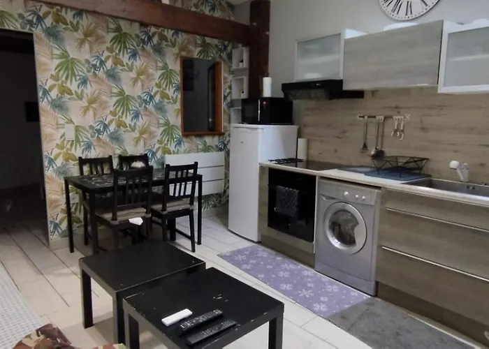 Dijon Super Appartement F1 Bis Climatise Mezzanine